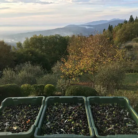 Casanuova Alojamento de Acomodação e Pequeno-almoço Bagno a Ripoli